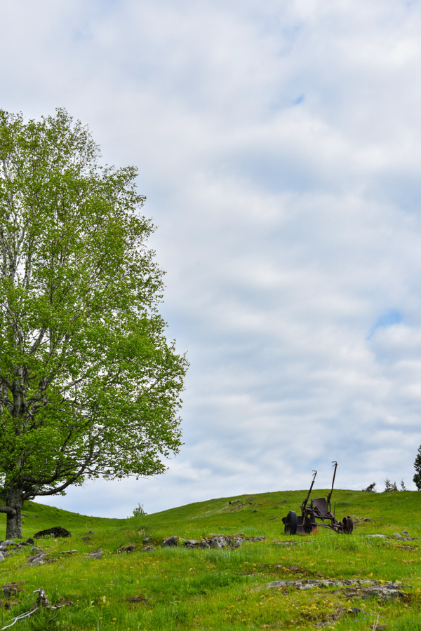 Greensboro VT Northeast Kingdom Vermont Farm & Forest